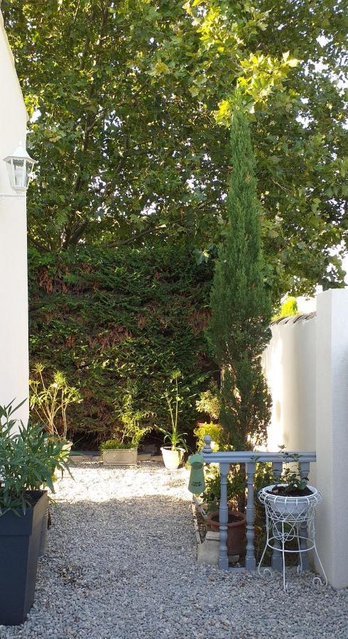 Le Petit Jardin ... Hotel LʼIsle-sur-la-Sorgue Eksteriør billede